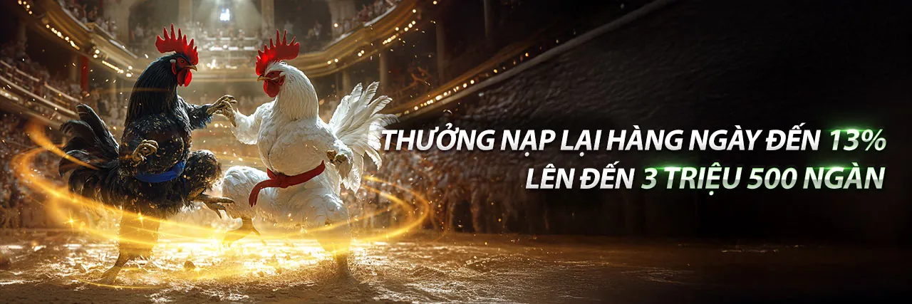 Đá gà J8BET Nổ Hũ